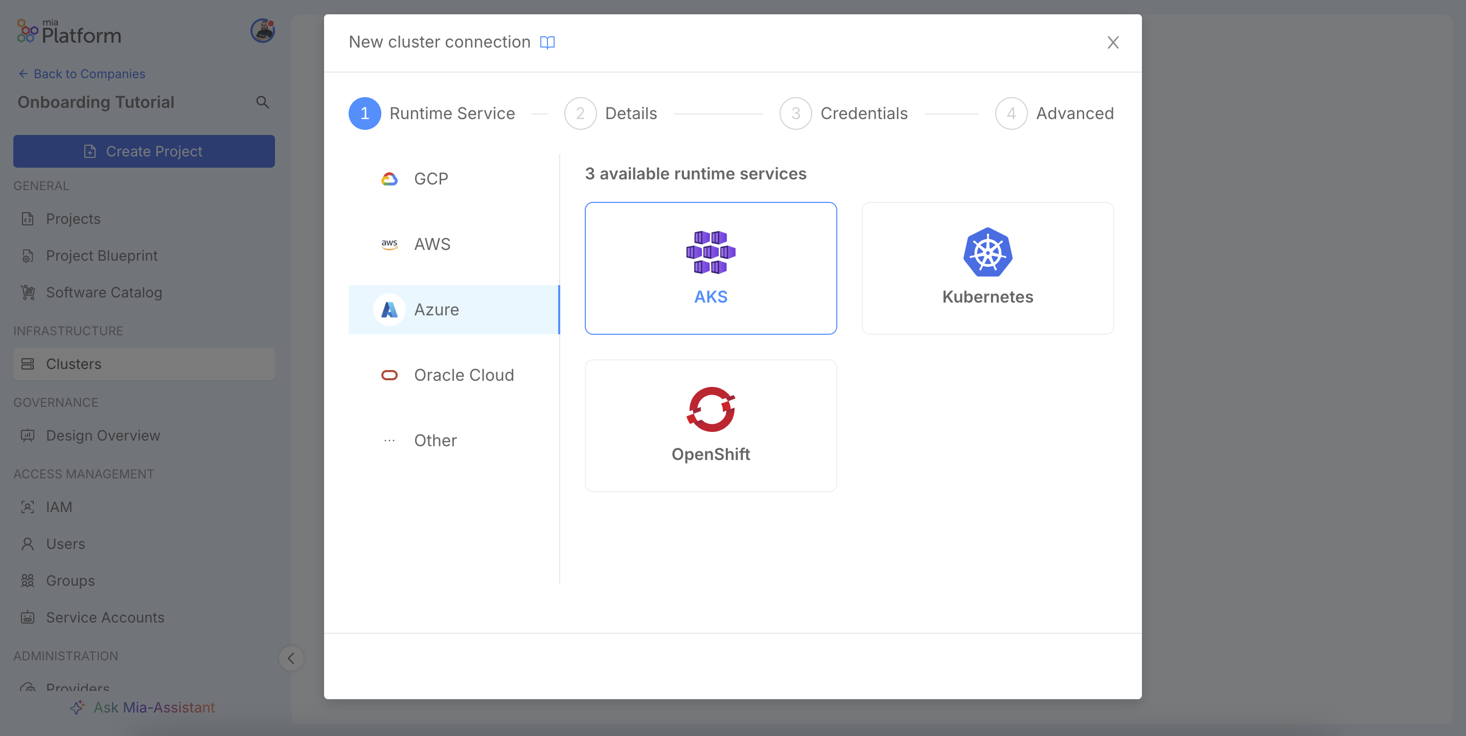 New cluster connection wizard, Runtime Service step.